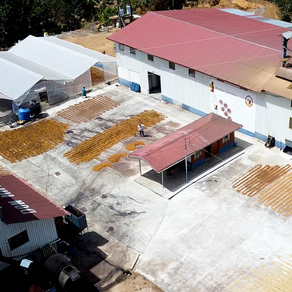 Drying deck at Don Mayo