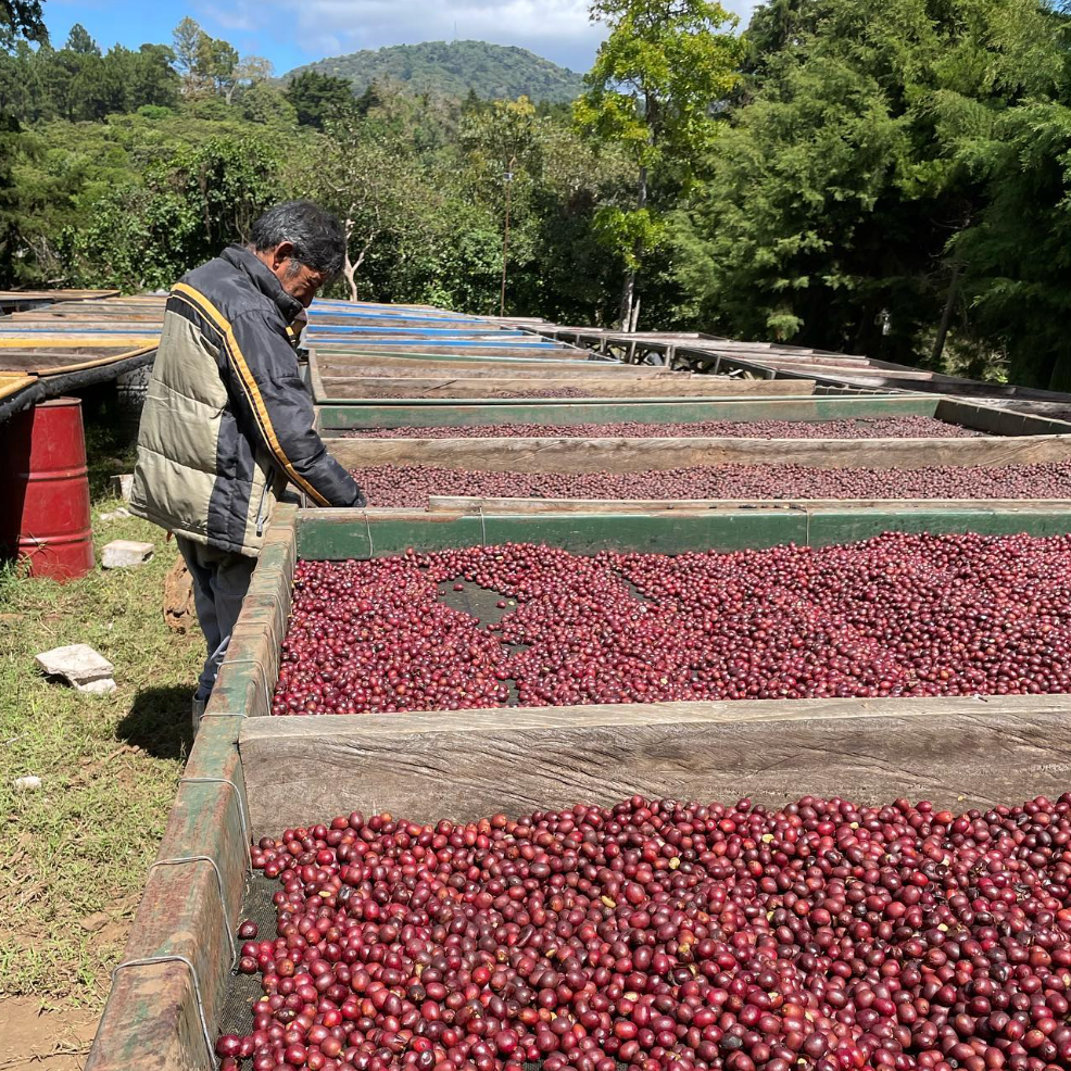 El Salvador Tres Portos Geca